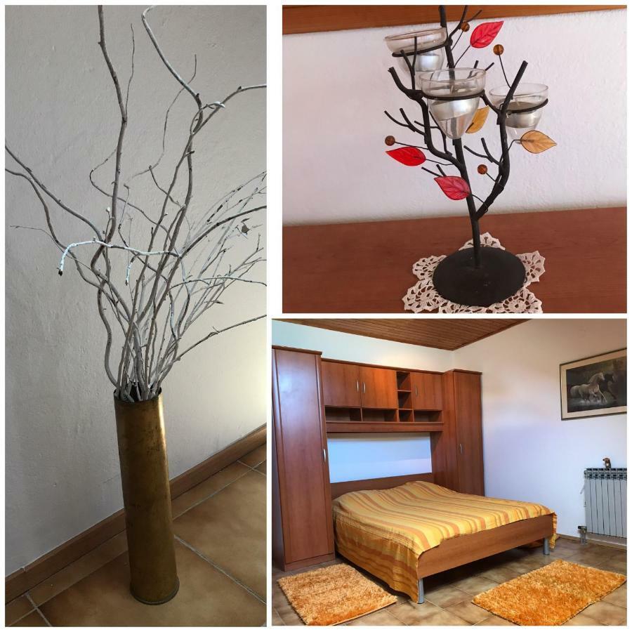 Lidija Apartment ซาดาร์ ภายนอก รูปภาพ